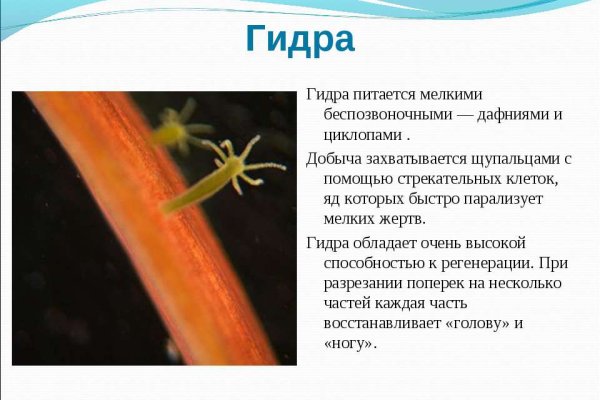 Кракен ссылка москва