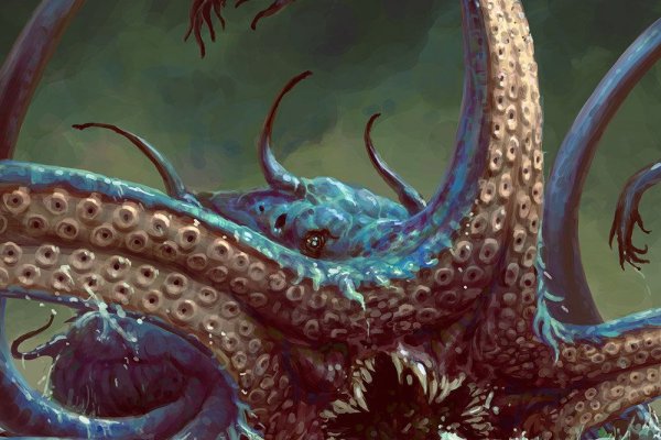 Kraken whitenet market ссылка тор