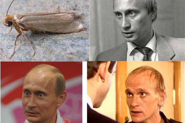 Кракен магазин ссылка