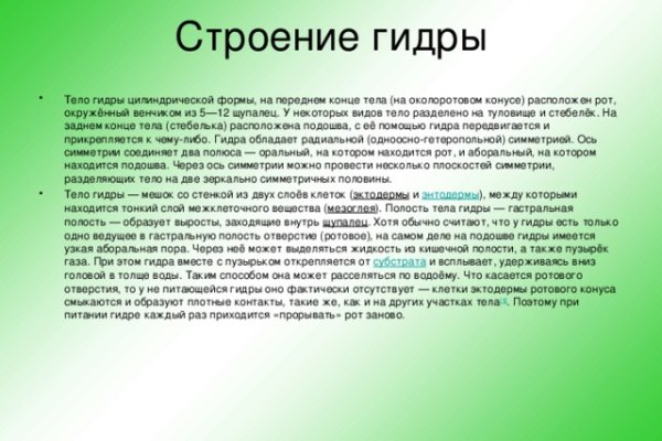 Кракен маркетплейс создатель